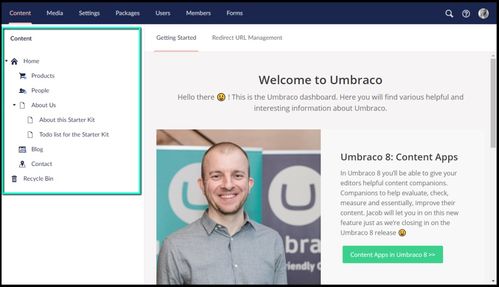 盤點10個熱門.NET開源CMS項目，助力網站建設